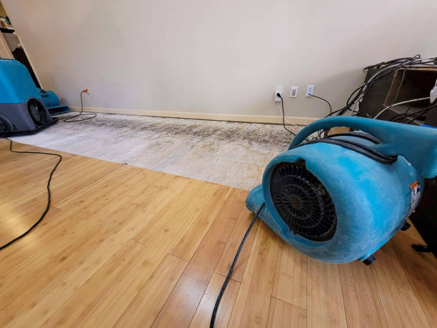 Professional Basement Flood Cleanup technician working in Samburg, TN